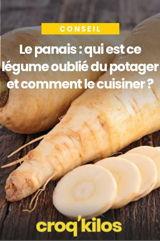 Panais frais au potager, légume oublié à cuisiner