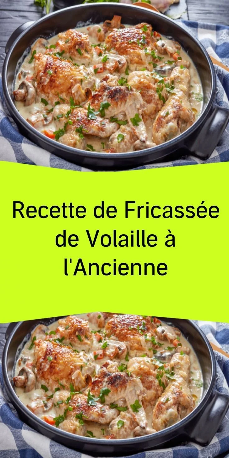 Fricassée de volaille à l'ancienne servie dans une assiette